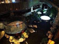 -峨眉山世纪阳光大酒店(峨眉高铁站店)