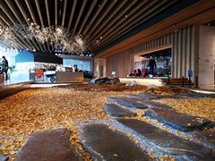 -Seesaw Coffee(朝阳大悦城店)