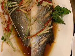 -宽窄巷子(米兰中央火车站店)