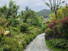 -腾冲洞山温泉村