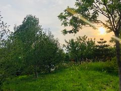 -东郊湿地公园