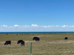 -青海湖国家重点风景名胜区