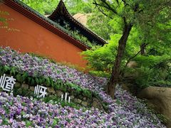 -嵖岈山风景区