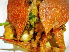 咖喱蟹-Red Lobster