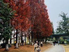 -白鹭湾湿地公园