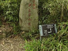 -紫金山山顶公园