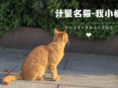-中国计量大学(西校区)