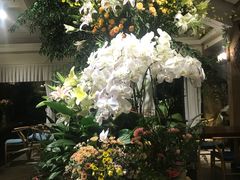 景观位-春暖花开(西溪店)