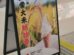 -野人先生现做冰淇淋(北京王府井东方新天地店)