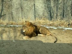 -北京野生动物园