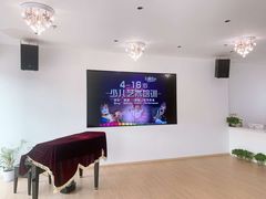 -飞童凡响艺术学校(松江区九里亭校区)