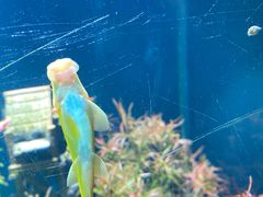 -青岛海底世界-水族馆