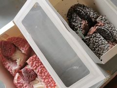 -奈雪的茶(新天地广场PRO店)