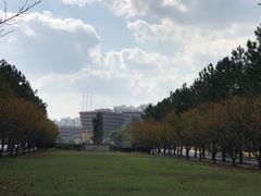 -同济大学(嘉定校区)