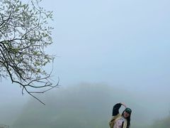 -大水川景区