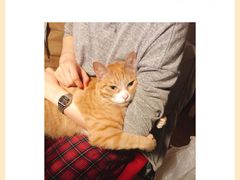 -美联众合动物医院·24h转诊中心