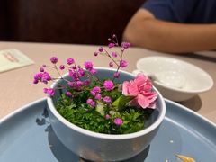 -尚一汤 广东炖汤(金桥国际店)