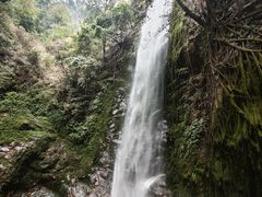 -莫里热带雨林景区