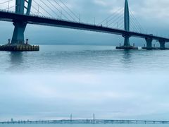 -港珠澳大桥(珠海段)