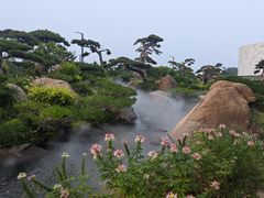 -罗红摄影艺术馆