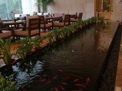 -天明山温泉大酒店