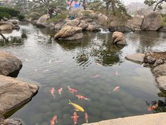 -罗红摄影艺术馆