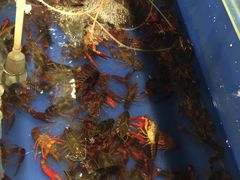 -虾弄弄海派小龙虾·牛羊蝎子火锅