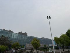 -天鹅湖体育公园