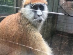 -昆明动物园