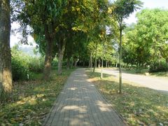 DSC08285-湖光岩风景区