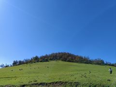 -关山草原