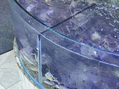 -四海蒸鲜蒸汽海鲜自助(北戴河店)