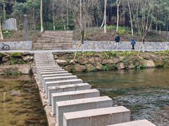 -重庆彩云湖湿地公园