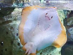 -珠海长隆海洋王国