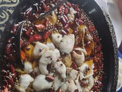 -金三可市井水煮鱼(金碧园店)