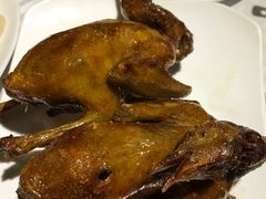 -琬苑鸽庄·川粤融合菜(解放碑总店)