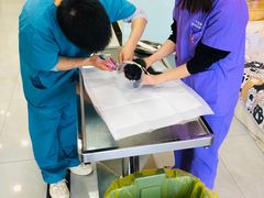 -中农大我爱我爱动物医院·核磁CT·猫病·24小时夜诊中心(石佛营店)