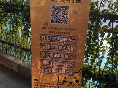 -柴犬高等学院·狗咖·柴犬售卖·宠物训练