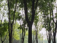 -东郊湿地公园