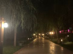 -唐城墙遗址公园