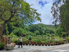 -深圳仙湖植物园