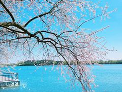 -颐和园