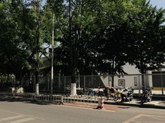 -北京八中游泳馆