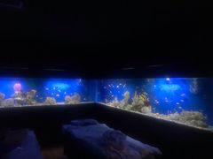 -避尘 Bsense·SPA(新会展总店)