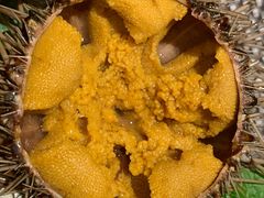 -乾山寿司(好运街店)