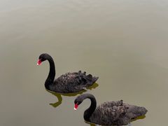 -龙熙维景国际会议中心