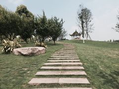 -秀丽东方