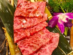 -炼火烤肉店