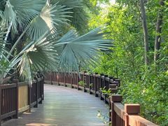 -金鸡岭桥头公园