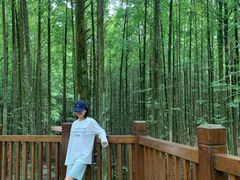 -山王坪喀斯特国家生态公园